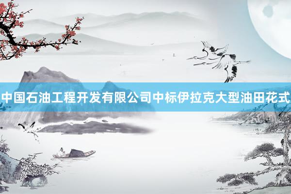 中国石油工程开发有限公司中标伊拉克大型油田花式