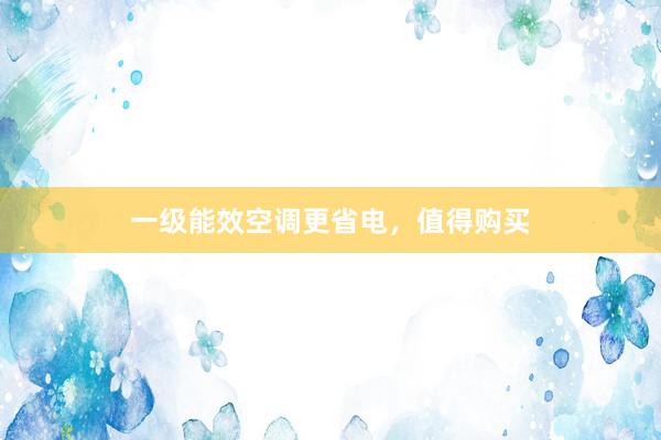 一级能效空调更省电，值得购买