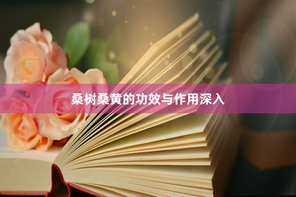桑树桑黄的功效与作用深入