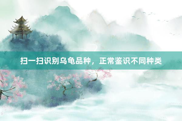 扫一扫识别乌龟品种，正常鉴识不同种类